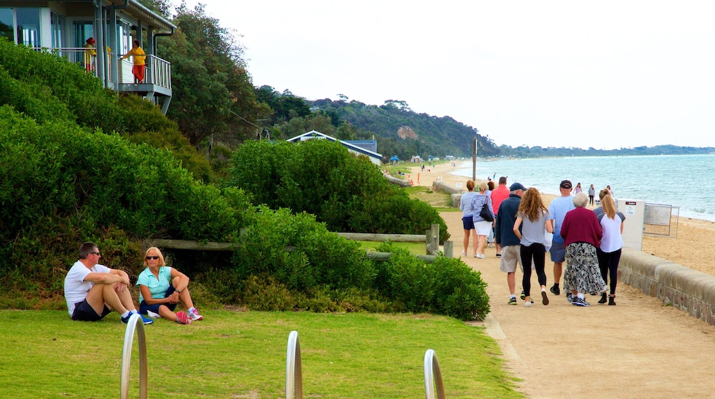 Dromana showing general coastal views and hiking or walking as well as a large group of people