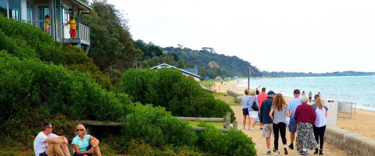 Dromana showing general coastal views and hiking or walking as well as a large group of people