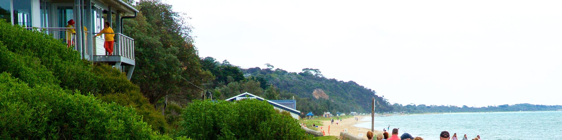 Dromana showing general coastal views and hiking or walking as well as a large group of people