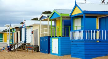 Safety Beach which includes general coastal views