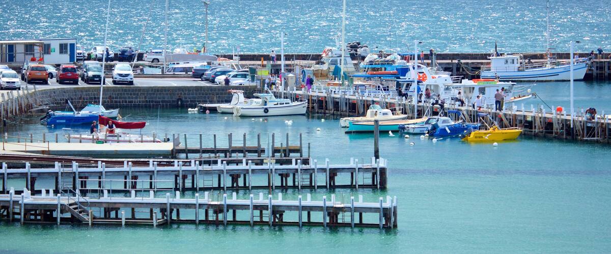 Mornington showing sailing, boating and a marina