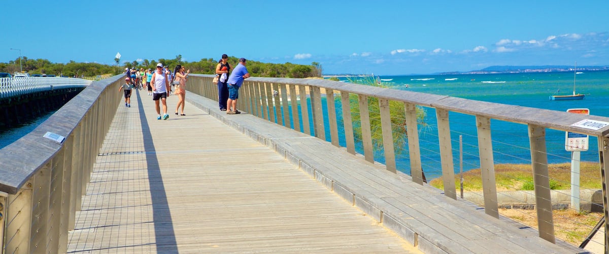 Barwon Heads showing a bridge and general coastal views