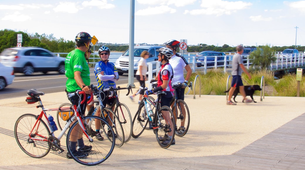 Barwon Heads showing road cycling as well as a large group of people