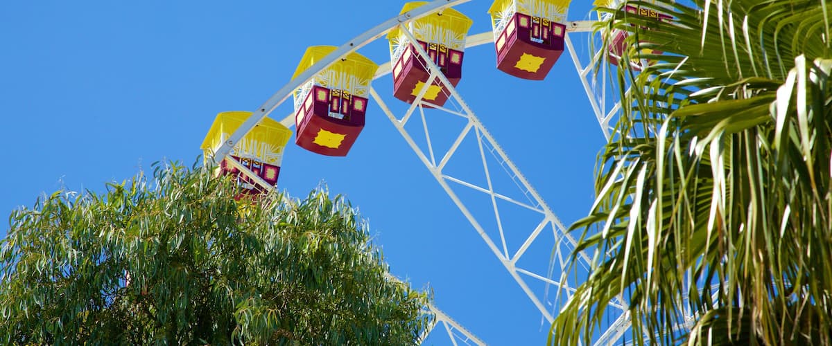 Geelong which includes rides