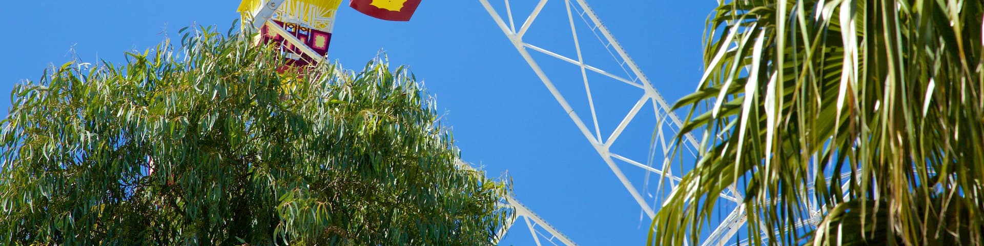 Geelong welches beinhaltet Fahrten