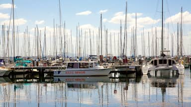 Geelong toont zeilen, een jachthaven en varen