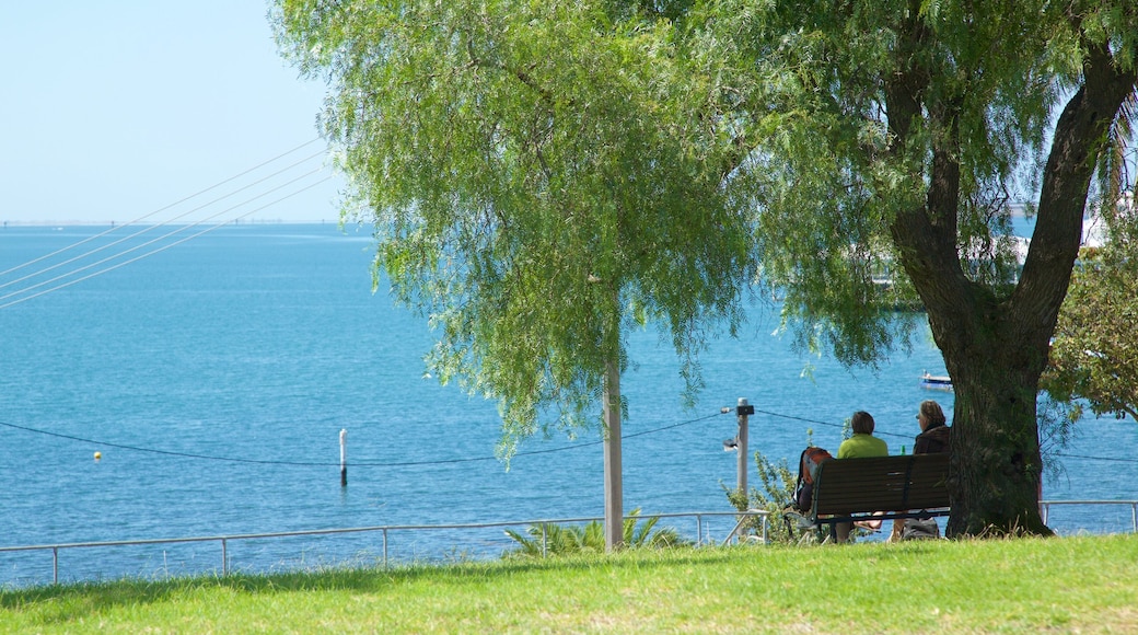 Geelong ofreciendo vistas generales de la costa