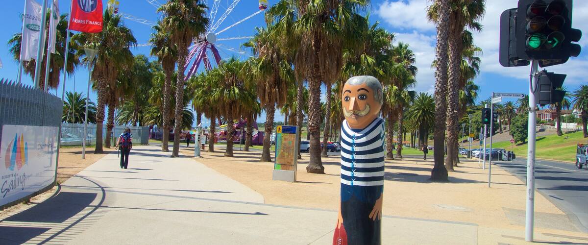 Geelong featuring outdoor art