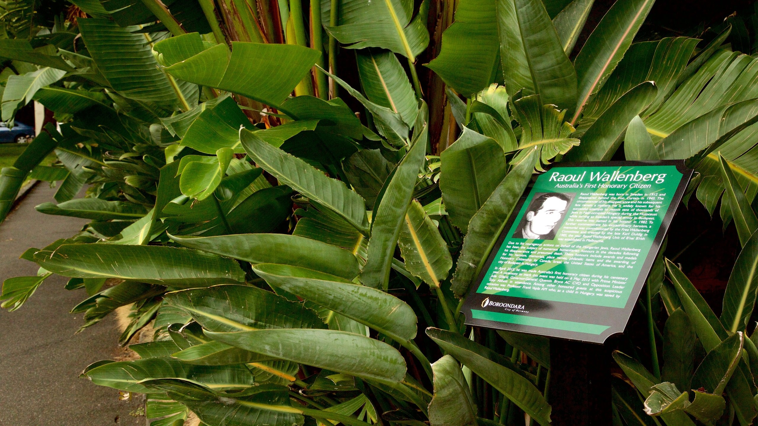 Travel Kew Best of Kew, Visit Melbourne Expedia Tourism