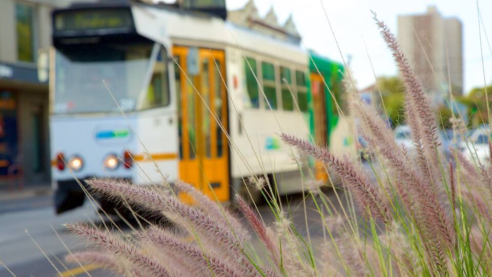 Richmond showing vehicle touring