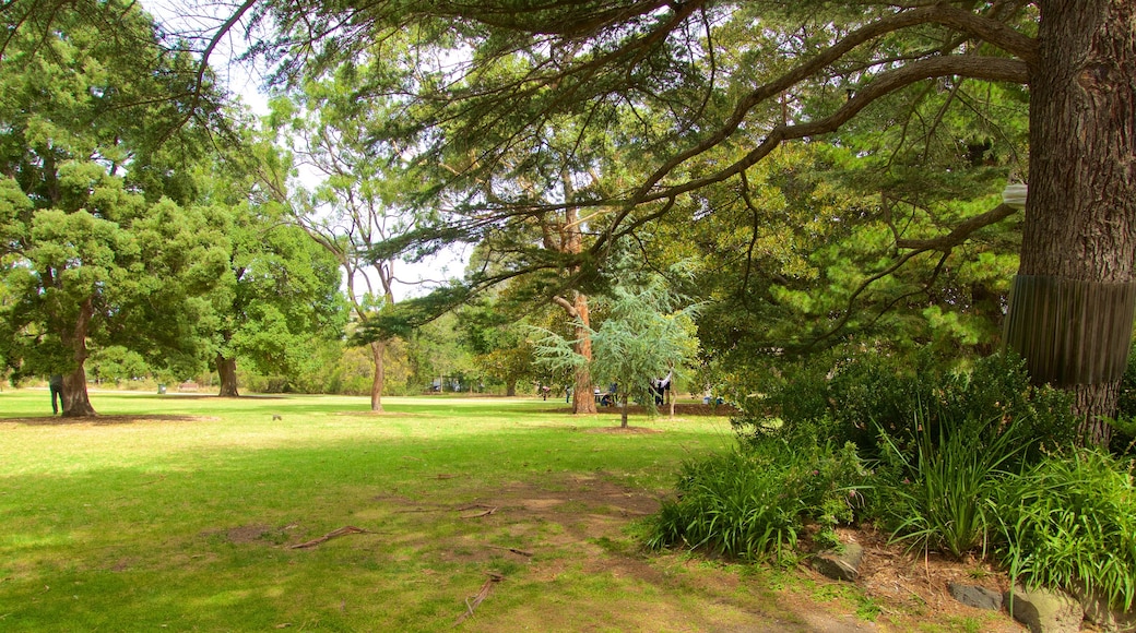 St. Kilda Botanical Gardens