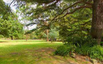 セント キルダ植物園 メルボルン エクスペディア セント キルダ植物園 メルボルン エクスペディア