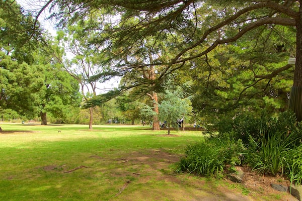 St. Kilda Botanical Gardens das einen Park