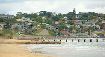 Frankston caracterizando uma praia de areia