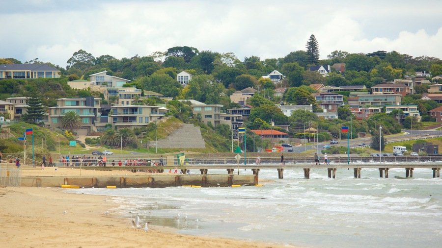 Frankston featuring a sandy beach