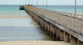 Rosebud showing a sandy beach