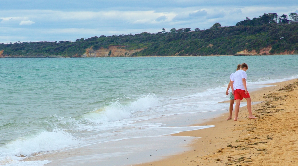 Safety Beach showing a sandy beach as well as children