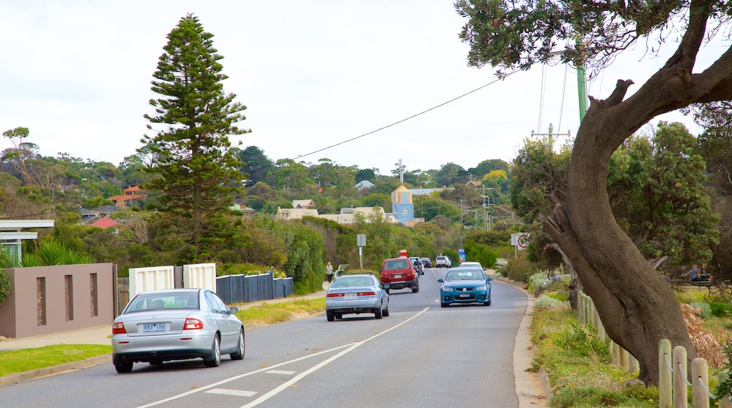 Safety Beach showing touring