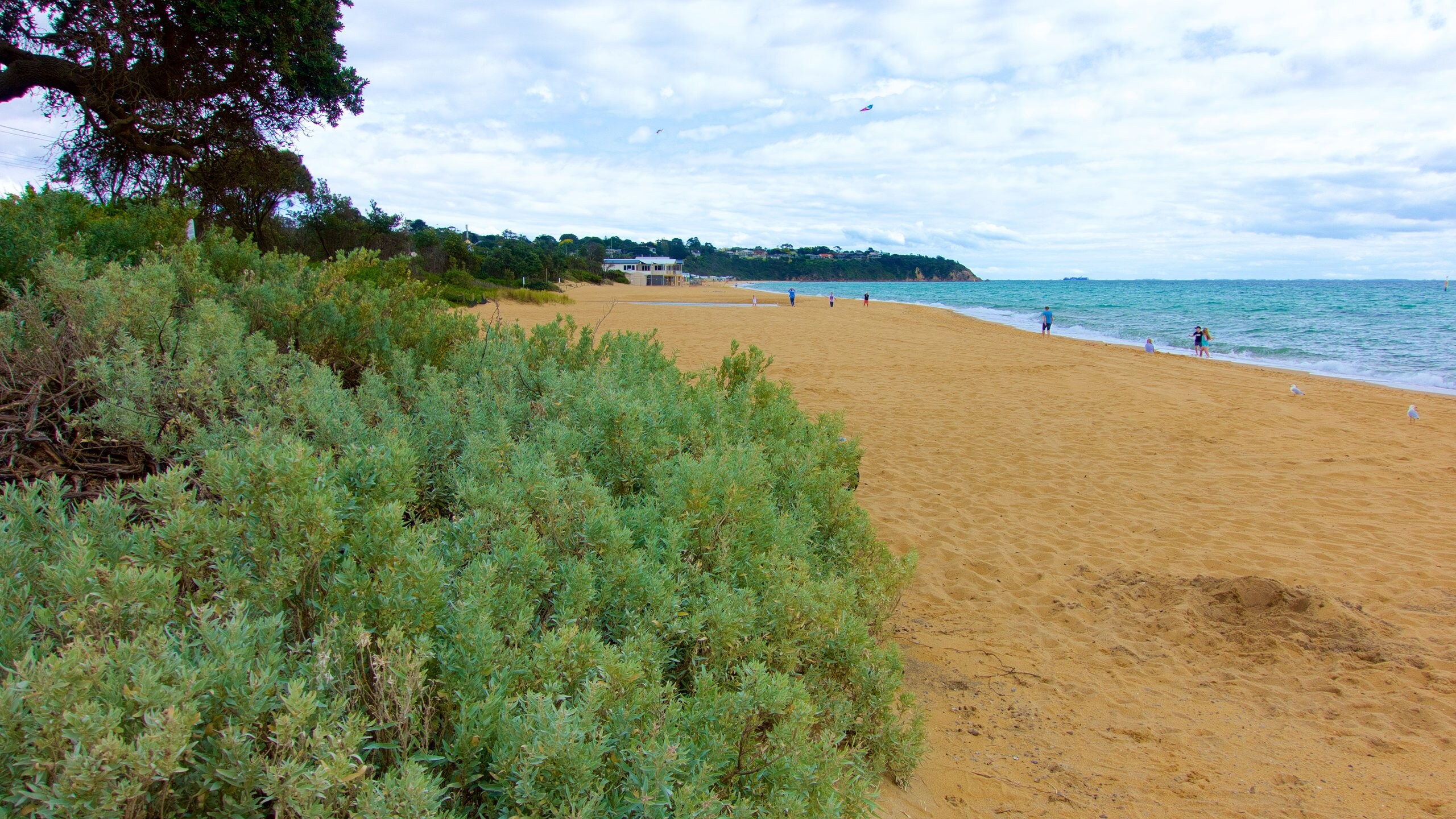 Safety Beach, VIC, AU holiday homes holiday houses & more Bookabach