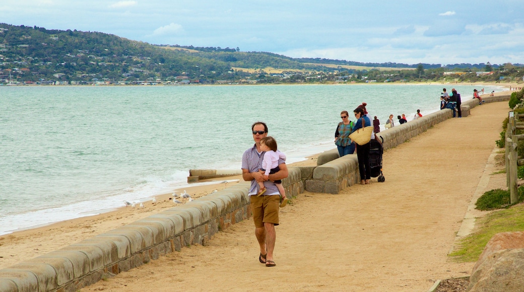 Dromana showing a sandy beach as well as a large group of people