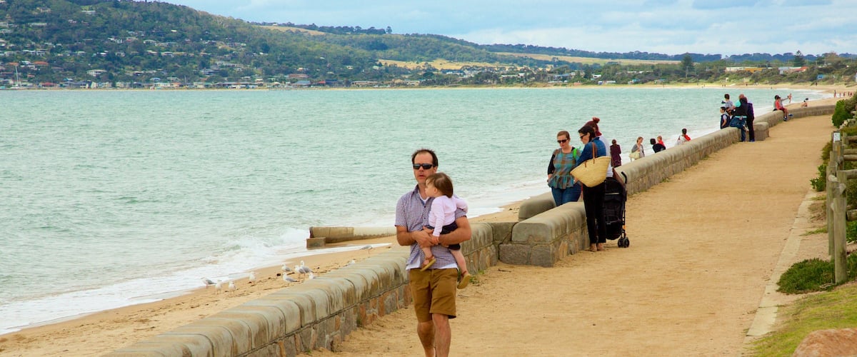 Dromana showing a sandy beach as well as a large group of people