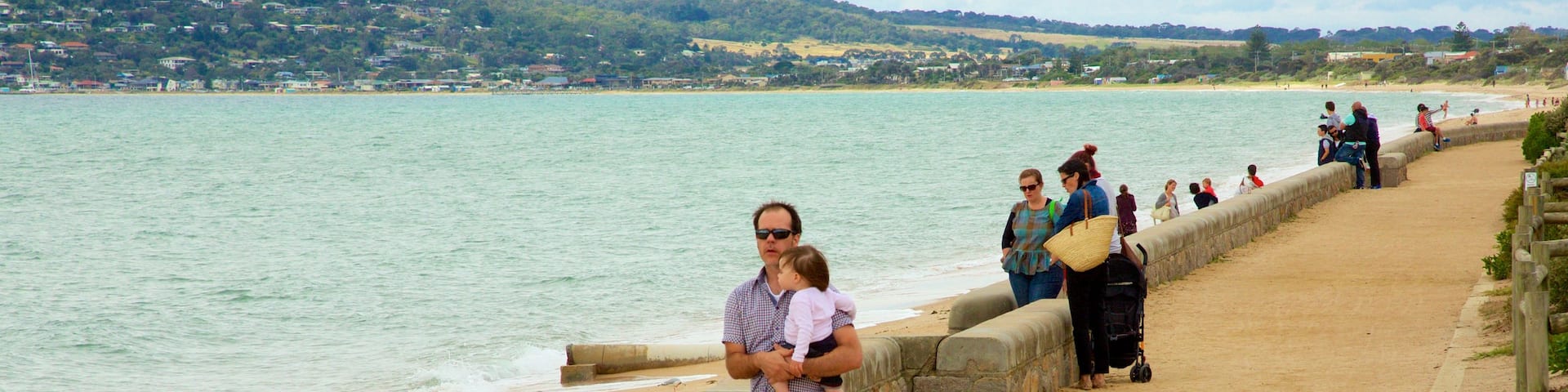 Dromana featuring a beach as well as a large group of people