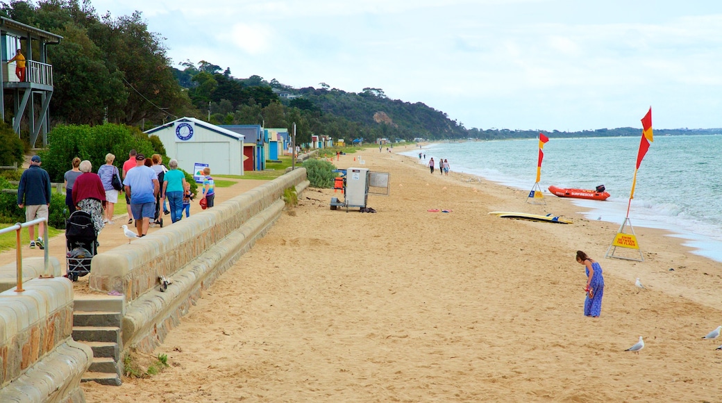 Dromana showing a sandy beach as well as a large group of people