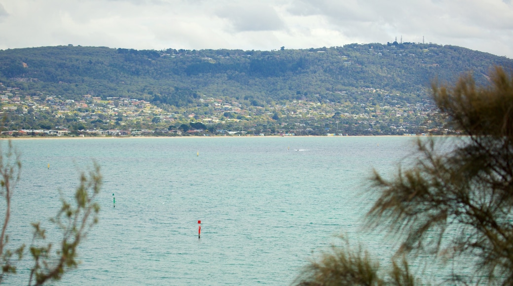 Dromana showing general coastal views