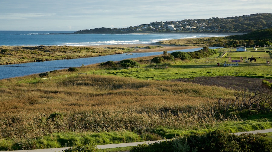 Apollo Bay which includes general coastal views