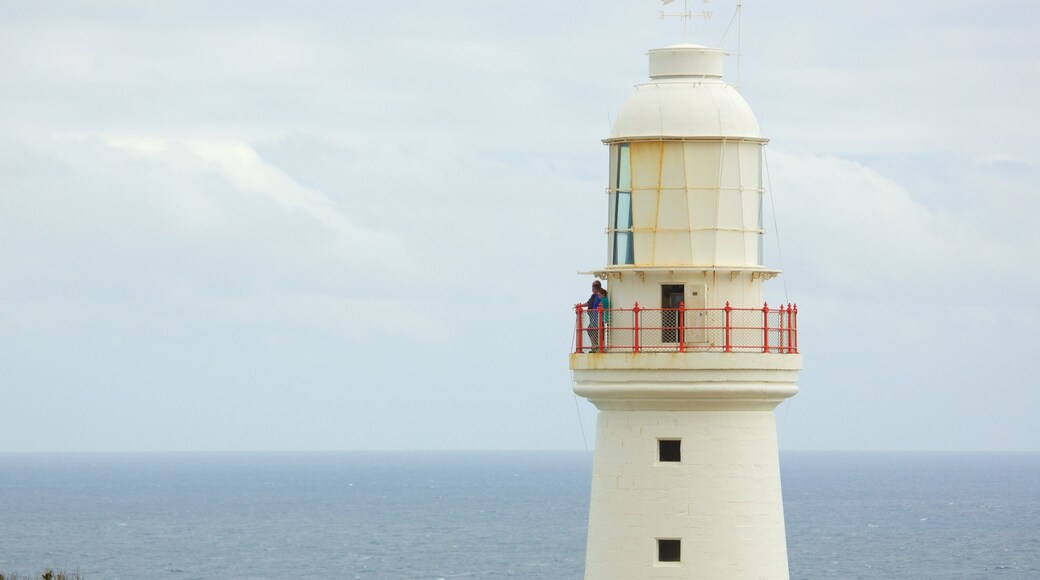 Apollo Bay which includes general coastal views and a lighthouse as well as a small group of people