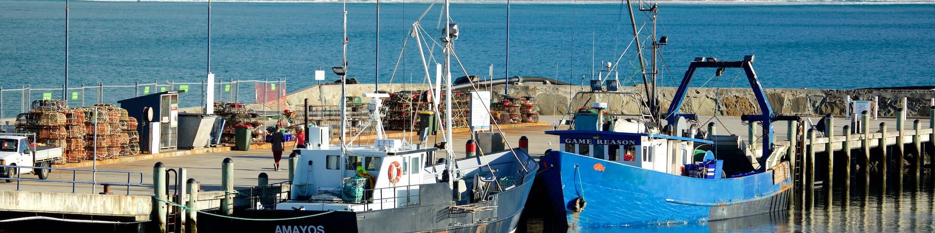 Apollo Bay Harbour showing boating and a marina