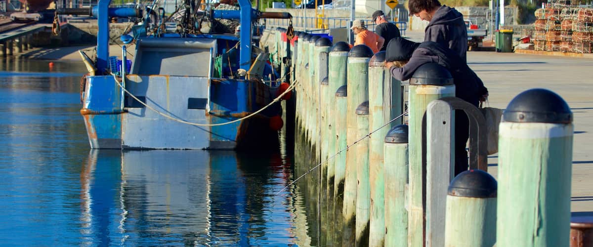 Apollo Bay Harbour which includes fishing, a marina and boating