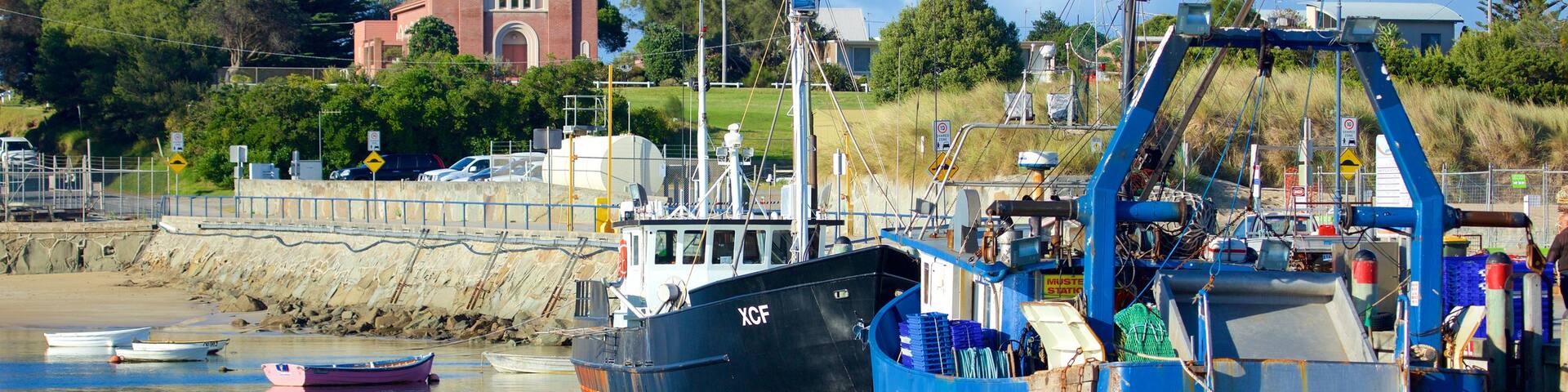 Apollo Bay Harbour which includes a marina and boating