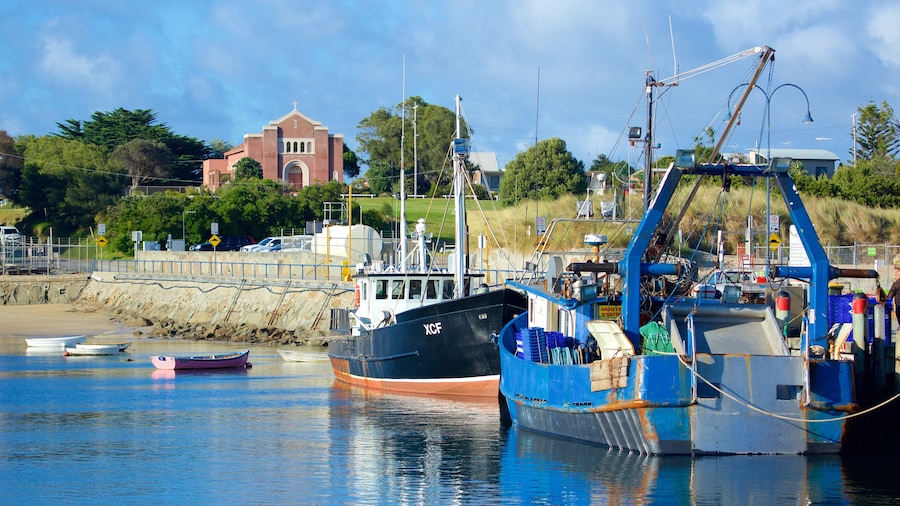 Apollo Bay Harbour showing boating and a marina