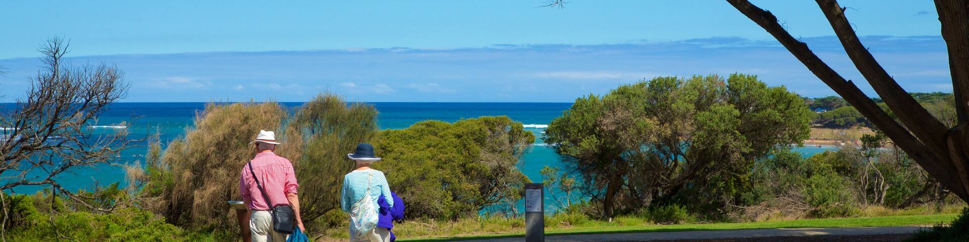 Torquay which includes general coastal views and a garden as well as a couple