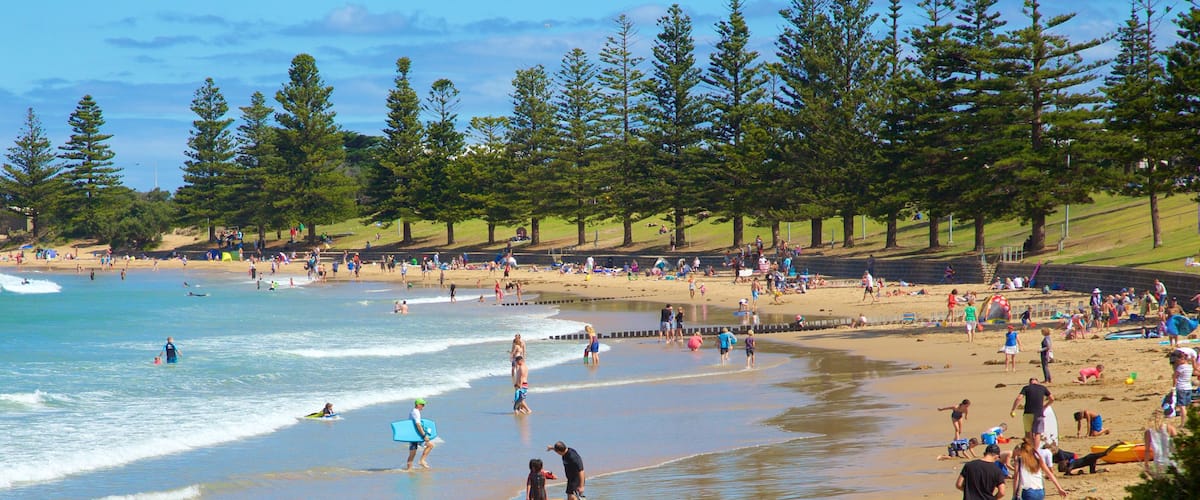 Torquay showing a bay or harbor and a sandy beach as well as a large group of people
