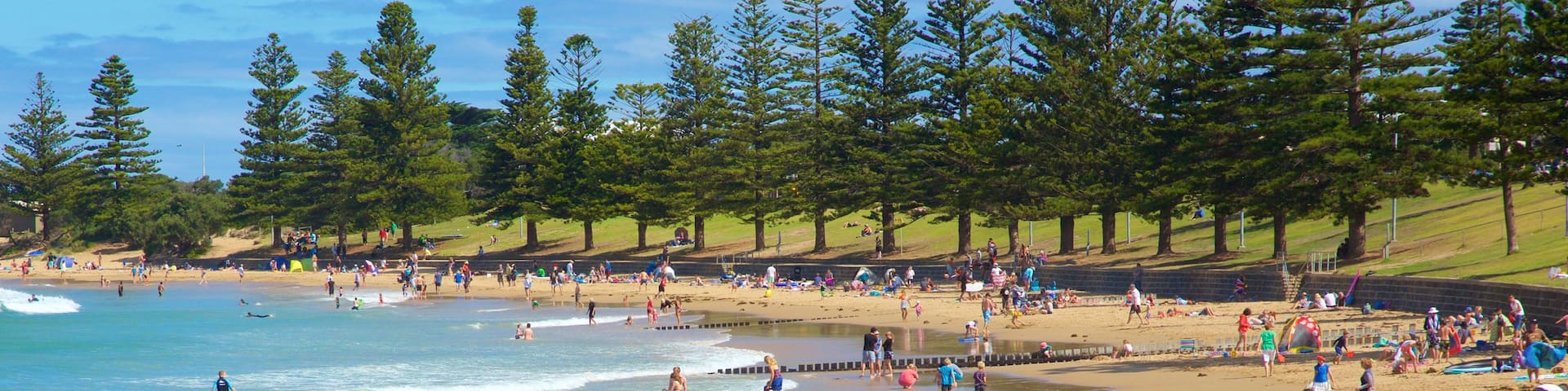 Torquay showing a bay or harbor and a sandy beach as well as a large group of people