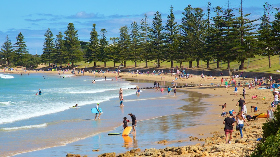 Torquay showing a bay or harbour and a sandy beach as well as a large group of people