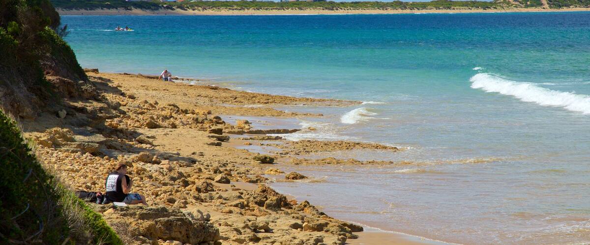 Torquay featuring general coastal views and rocky coastline
