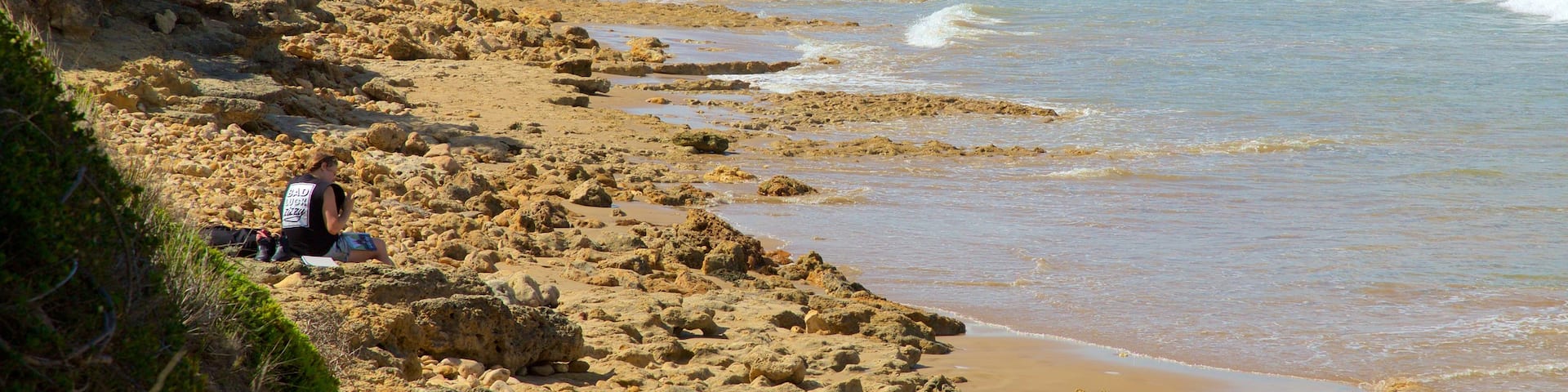 Torquay featuring general coastal views and rocky coastline