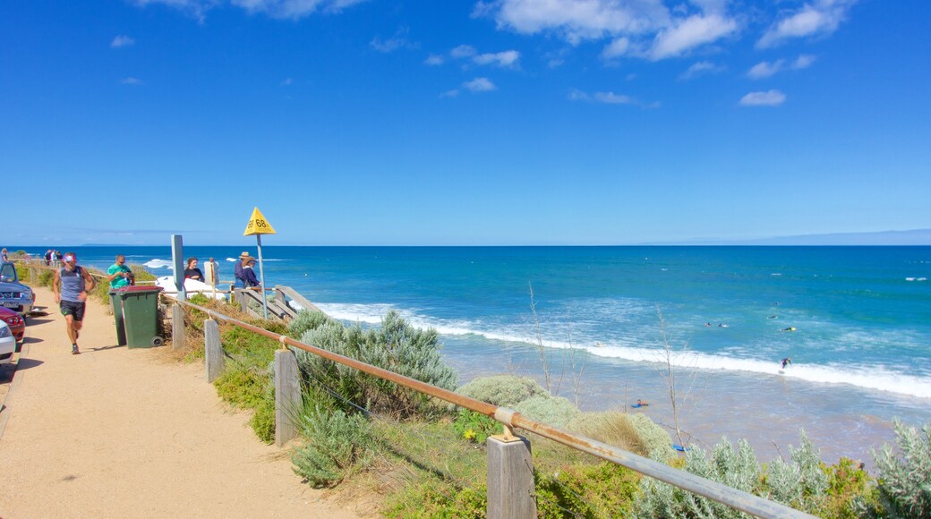 Torquay featuring general coastal views as well as a small group of people