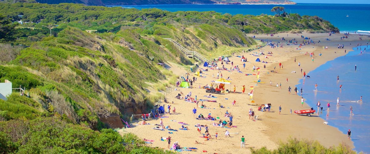 Anglesea que incluye una playa y una bahía o puerto y también un gran grupo de personas