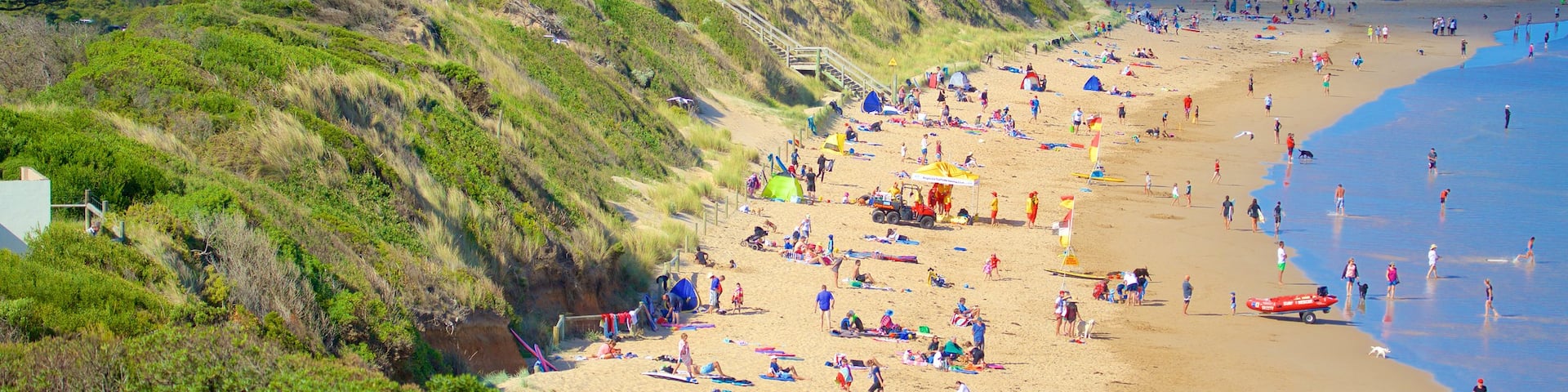 Anglesea which includes a bay or harbor and a sandy beach as well as a large group of people