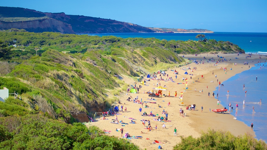 Anglesea which includes a beach and a bay or harbour as well as a large group of people