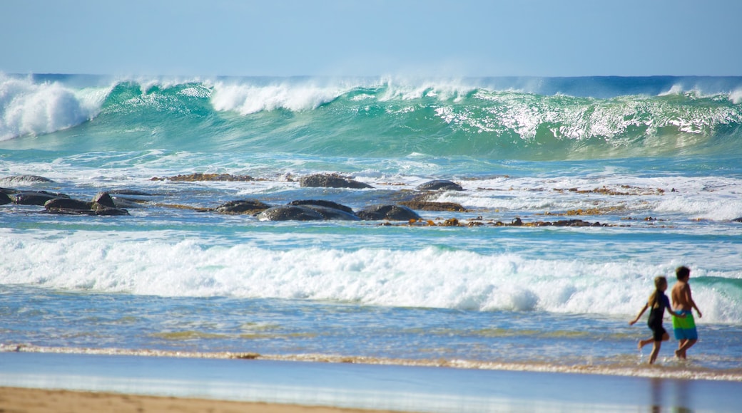 Skenes Creek featuring surf as well as a small group of people