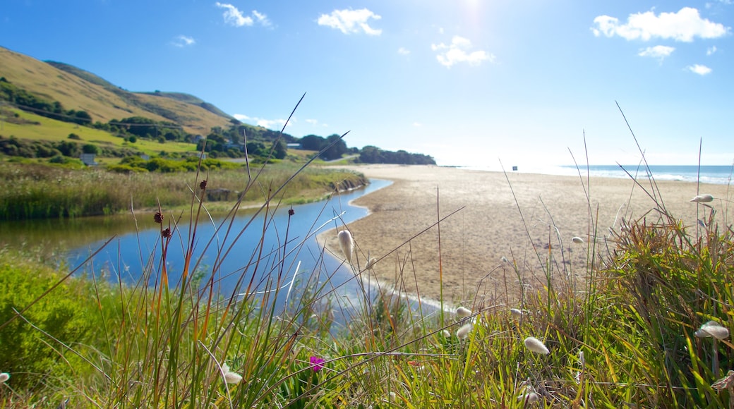 Skenes Creek mit einem Wildblumen und allgemeine Küstenansicht