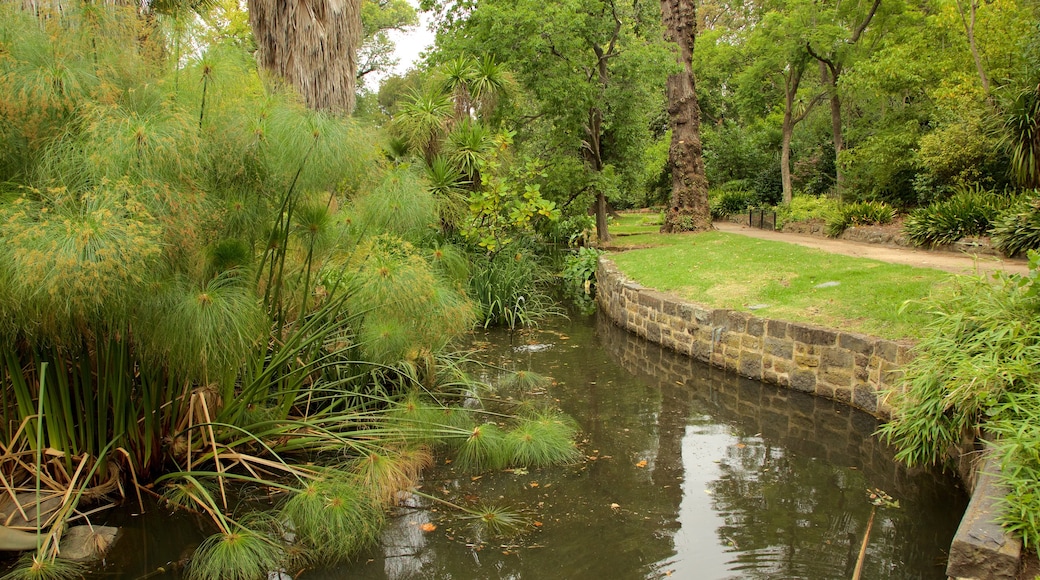 Fitzroy Gardens featuring a river or creek and a park