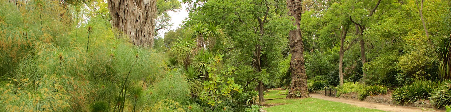 Fitzroy Gardens which includes a park and a river or creek