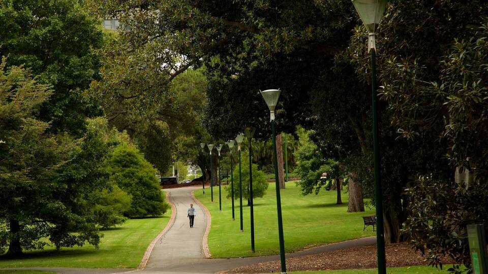 Fitzroy Gardens featuring a park