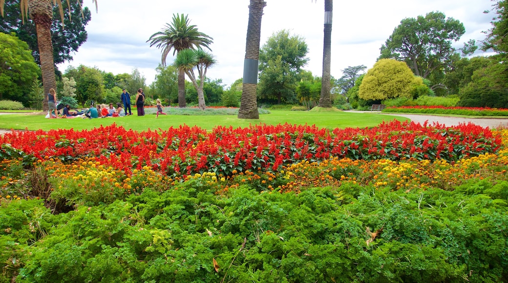 Jardim Botânico St. Kilda mostrando um parque e flores